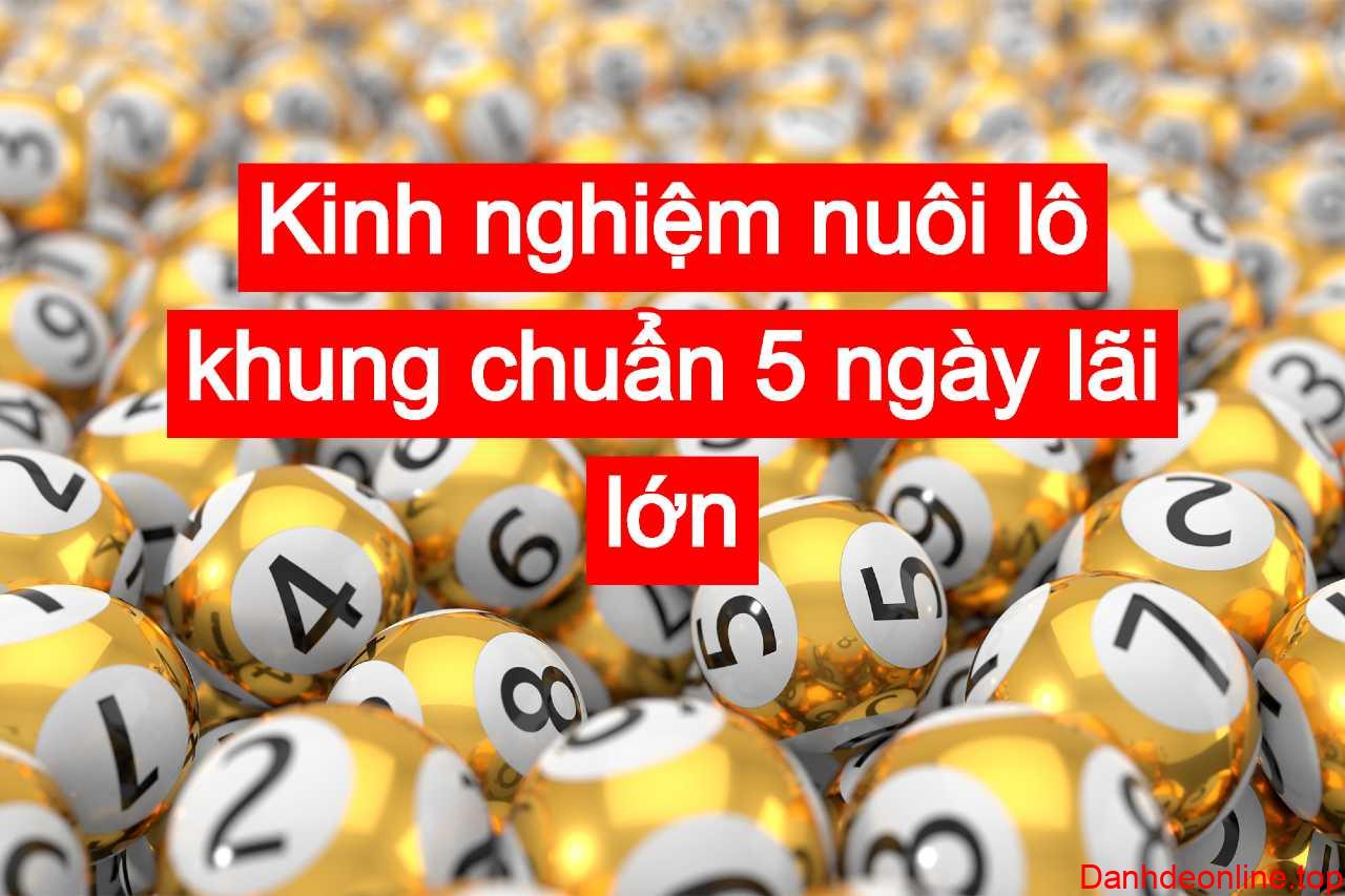 Kinh nghiệm nuôi lô khung chuẩn 5 ngày lãi lớn